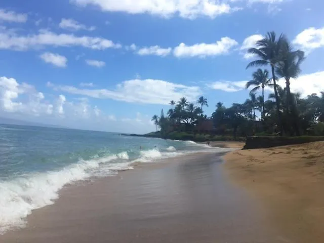 Apartment Kuleana Turtle Sanctuary Beach Napili-Honokowai United States