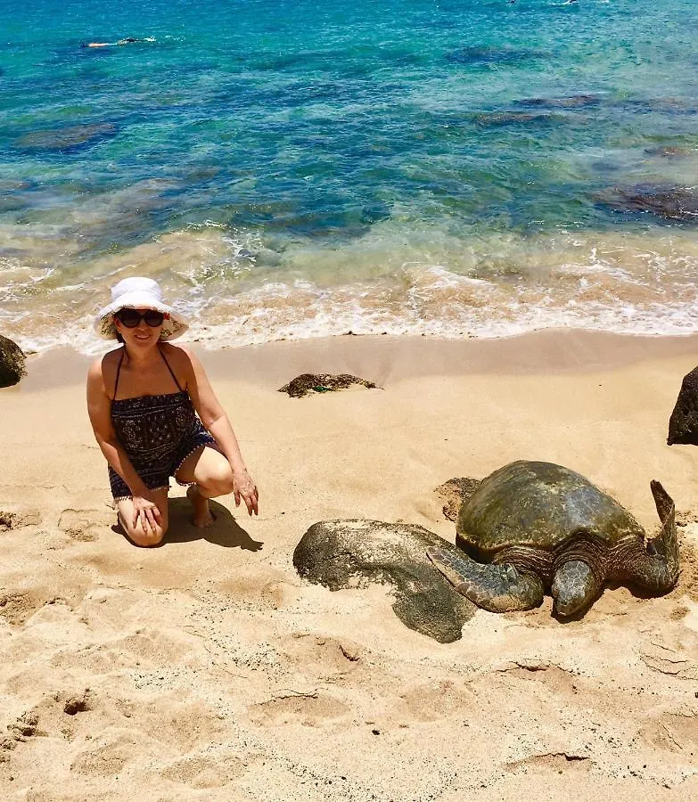 Kuleana Turtle Sanctuary Beach Napili-Honokowai 0*,  United States