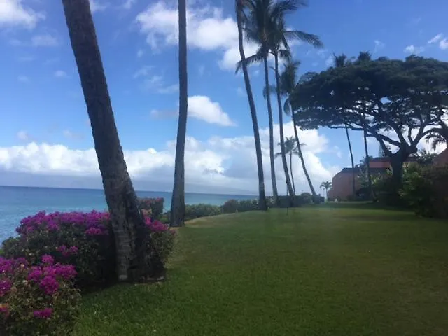 Kuleana Turtle Sanctuary Beach Napili-Honokowai